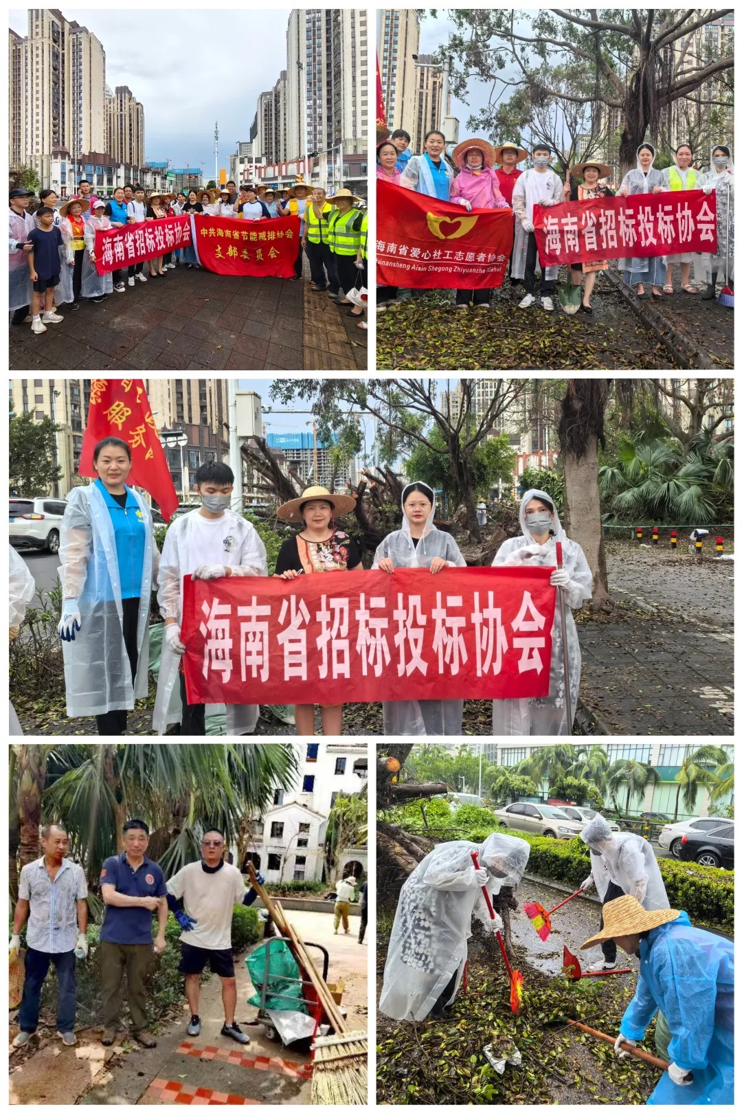 “摩羯”無(wú)情，人間有愛(ài)——海南省招標(biāo)投標(biāo)協(xié)會(huì)與會(huì)員單位積極開(kāi)展災(zāi)后重建工作